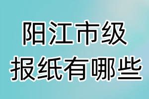 陽江市級報紙有哪些