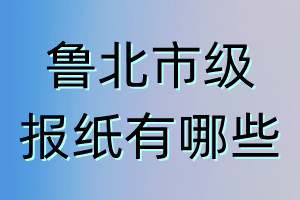 魯北市級報紙有哪些